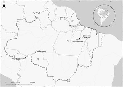 CYP2D6 Allele Frequency in Five Malaria Vivax Endemic Areas From Brazilian Amazon Region